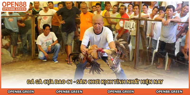 Đá Gà Cựa Dao C1 - Sân Chơi Kịch Tính Nhất Hiện Nay