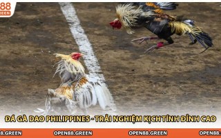 Đá Gà Dao Philippines - Trải Nghiệm Kịch Tính Đỉnh Cao