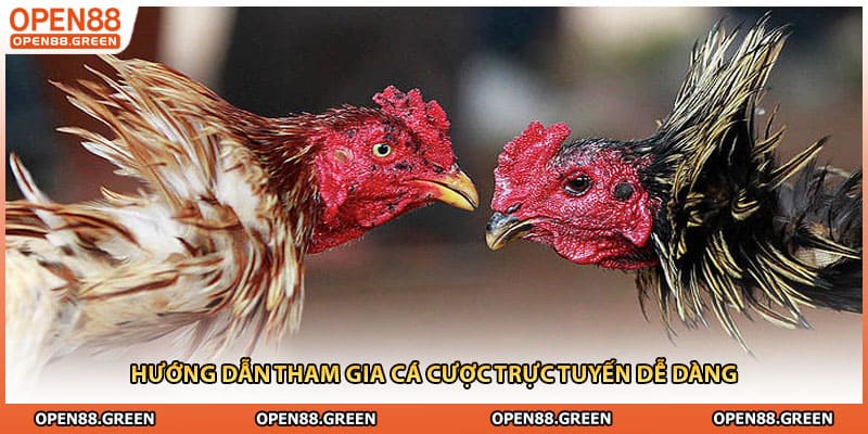 Hướng dẫn tham gia cá cược trực tuyến dễ dàng